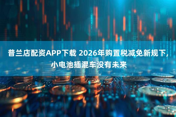 普兰店配资APP下载 2026年购置税减免新规下, 小电池插混车没有未来