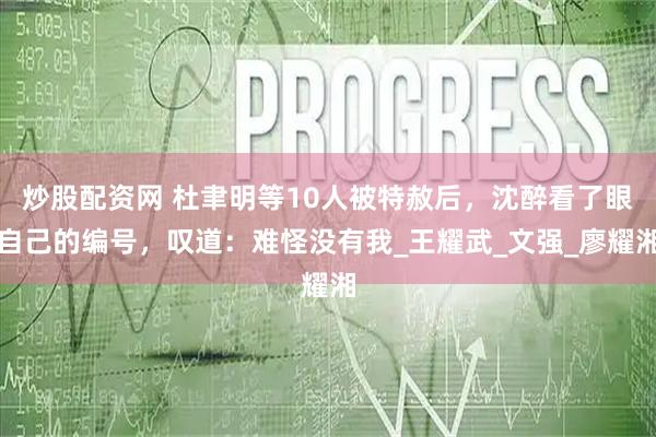 炒股配资网 杜聿明等10人被特赦后，沈醉看了眼自己的编号，叹道：难怪没有我_王耀武_文强_廖耀湘