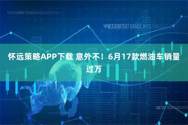 怀远策略APP下载 意外不！6月17款燃油车销量过万